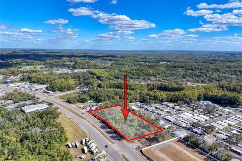 Commercial property in Hudson, Florida № 2130637 - photo 8