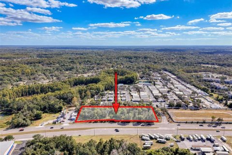 Commercial property in Hudson, Florida № 2130637 - photo 6
