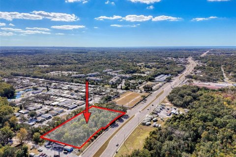 Commercial property in Hudson, Florida № 2130637 - photo 4