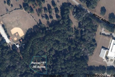 Land in Alachua, Florida № 2211857