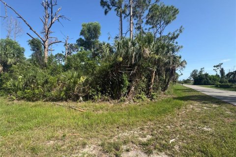 Land in Port Charlotte, Florida № 2161740