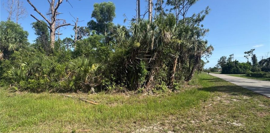Land in Port Charlotte, Florida № 2161740