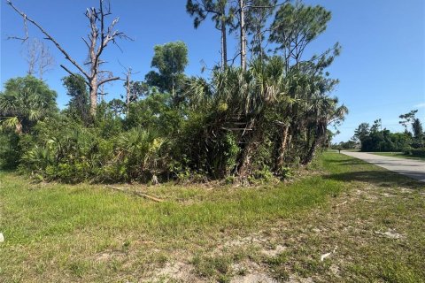 Land in Port Charlotte, Florida № 2161740 - photo 3