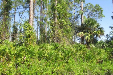 Terrain à North Port, Floride № 2229076