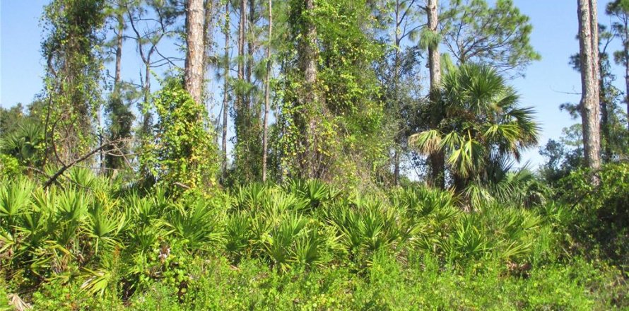 Land in North Port, Florida № 2229076