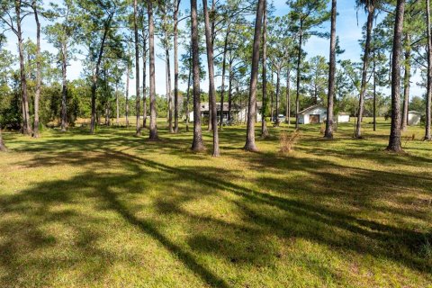 House in Orlando, Florida 3 bedrooms, 231.88 sq.m. № 2108667 - photo 18