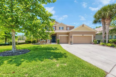 Villa ou maison à CONNERTON
à Land O' Lakes, Floride 6 chambres, 433.48 m2 № 2213485