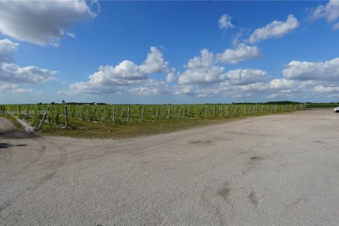 Commercial property in Miami, Florida № 1456264 - photo 7