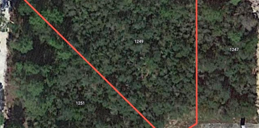 Land in Poinciana, Florida № 1050301