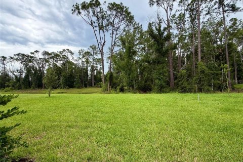 Villa ou maison à louer à Wesley Chapel, Floride: 4 chambres, 241.55 m2 № 2299818 - photo 25