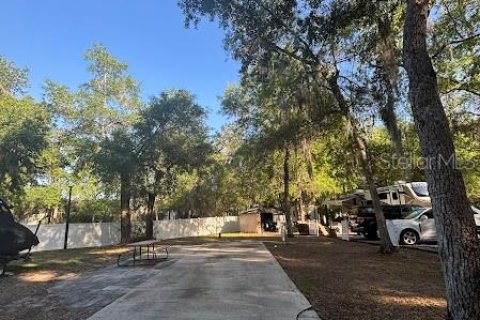 Land in Salt Springs, Florida № 2115996 - photo 3