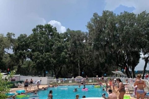 Land in Salt Springs, Florida № 2115996 - photo 23