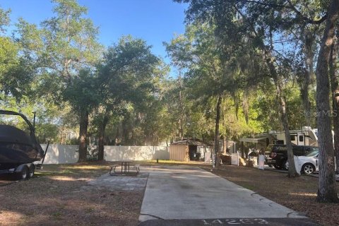 Land in Salt Springs, Florida № 2115996 - photo 4
