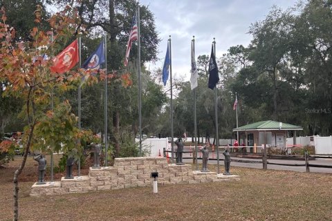 Land in Salt Springs, Florida № 2115996 - photo 25