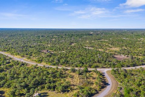 Land in North Port, Florida № 2228792 - photo 11