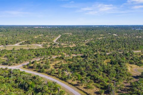 Land in North Port, Florida № 2228792 - photo 8