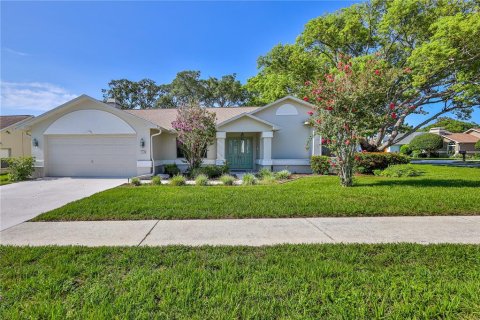 Villa ou maison à Spring Hill, Floride 3 chambres, 174.1 m2 № 2266285
