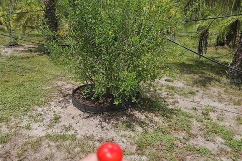 Land in Bradenton, Florida № 1875918 - photo 17