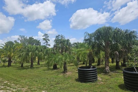 Land in Bradenton, Florida № 1875918 - photo 5