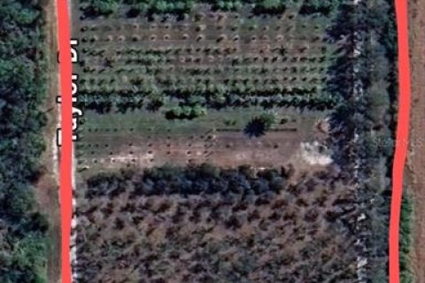 Land in Bradenton, Florida № 1875918 - photo 16