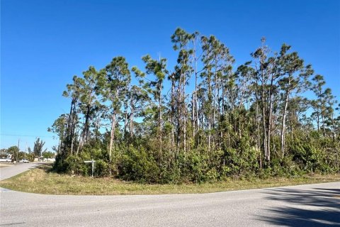 Terreno en venta en Port Charlotte, Florida № 2162111 - foto 12