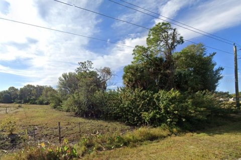 Land in Punta Gorda, Florida № 1882936 - photo 10