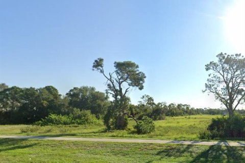 Land in Punta Gorda, Florida № 1882936 - photo 1