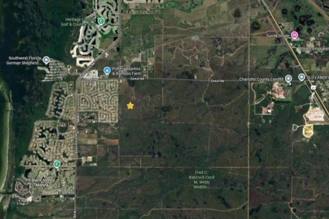 Land in Punta Gorda, Florida № 1882936 - photo 9