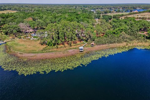 Villa ou maison à vendre à Odessa, Floride: 5 chambres, 558.16 m2 № 2222402 - photo 3