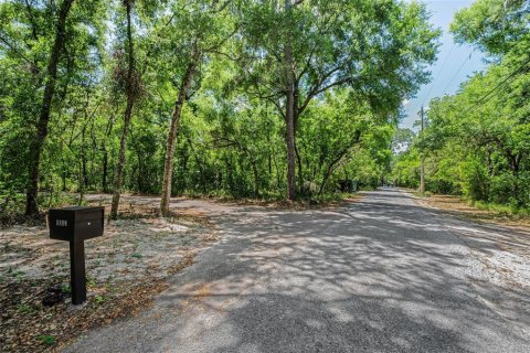 Villa ou maison à vendre à Odessa, Floride: 5 chambres, 558.16 m2 № 2222402 - photo 6