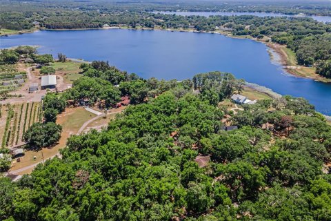 Villa ou maison à vendre à Odessa, Floride: 5 chambres, 558.16 m2 № 2222402 - photo 2