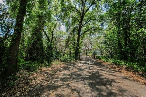 Villa ou maison à vendre à Odessa, Floride: 5 chambres, 558.16 m2 № 2222402 - photo 7