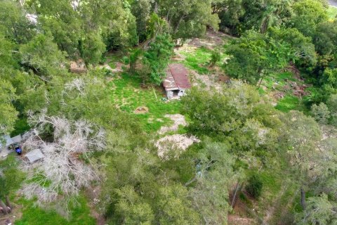 Land in Apopka, Florida № 789420 - photo 9
