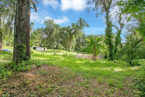 Land in Apopka, Florida № 789420 - photo 3