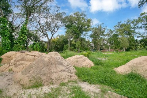 Land in Apopka, Florida № 789420 - photo 5
