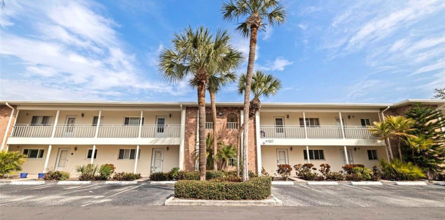 Condo à Saint Petersburg, Floride, 2 chambres № 2095242