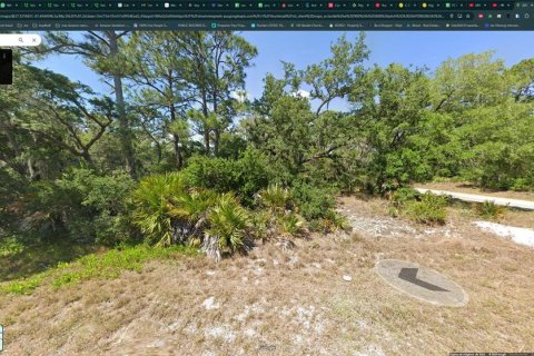 Land in Lake Placid, Florida № 2228794 - photo 4
