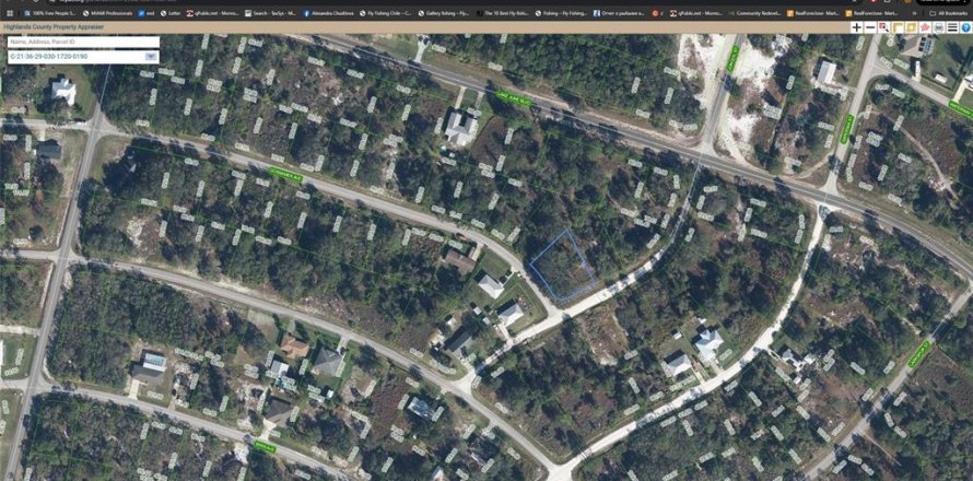 Land in Lake Placid, Florida № 2228794