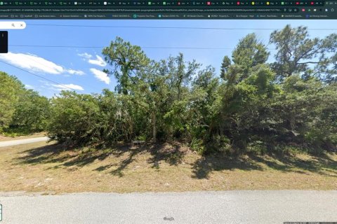 Land in Lake Placid, Florida № 2228794 - photo 2