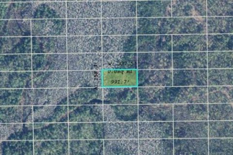 Land in Orlando, Florida № 2163606 - photo 2