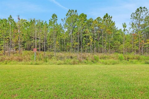 Touwnhouse à vendre à Middleburg, Floride: 3 chambres, 133.13 m2 № 1788997 - photo 4