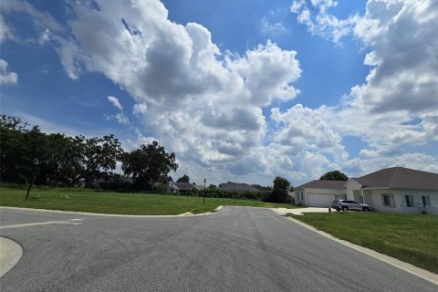 Terreno en venta en Lakeland, Florida № 2224481 - foto 5
