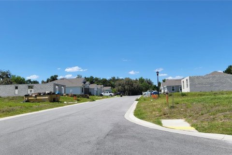 Terreno en venta en Lakeland, Florida № 2224481 - foto 12