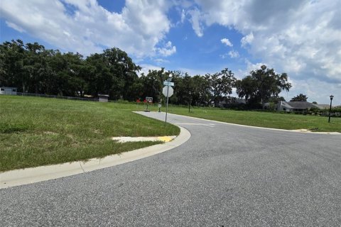 Terreno en venta en Lakeland, Florida № 2224481 - foto 6