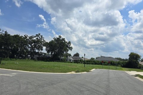 Terreno en venta en Lakeland, Florida № 2224481 - foto 4