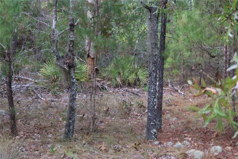 Terreno en venta en Dunnellon, Florida № 2097124 - foto 4