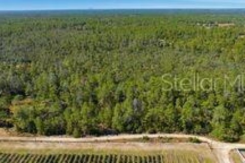Terreno en Dunnellon, Florida № 2097124