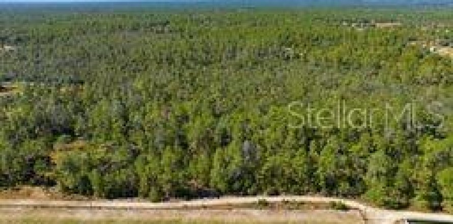 Terreno en Dunnellon, Florida № 2097124