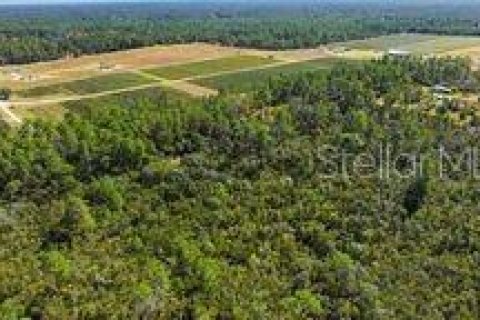 Terreno en venta en Dunnellon, Florida № 2097124 - foto 6