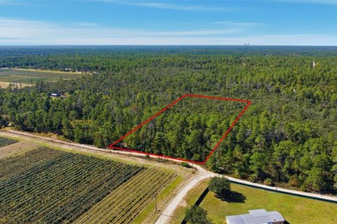 Terreno en venta en Dunnellon, Florida № 2097124 - foto 5